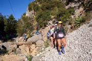 M3354889
