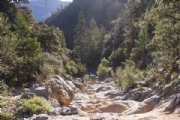 O3354785
