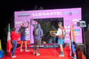 Y3355271