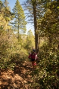 N3341777