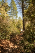R3339948