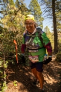 W3339752