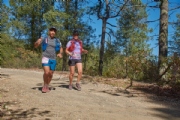 O3366623
