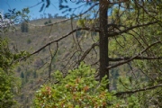 W3366387