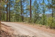 W3366414