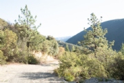 C3349417