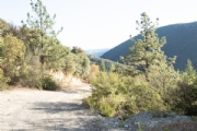 C3349500