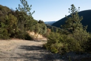 C3349535