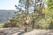 D3349286