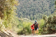 K3349239