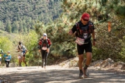 K3350612