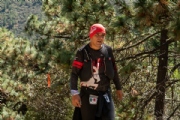N3351173