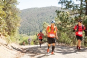 O3350332