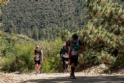 S3349394