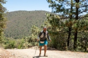 W3349797