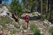 S3342456