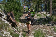 S3342566