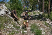 S3342568