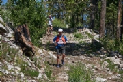 S3343647