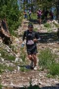 U3342567