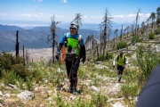 S3361259