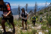 T3360773