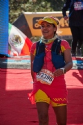 H3337191