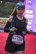 J3337380