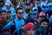 S3337260