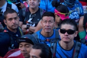 S3337519