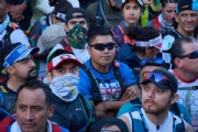 S3337576