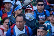 S3337578