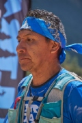 V3337694