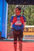 W3337737