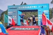 D3362579
