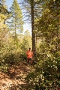 F3339463