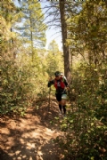 R3338810