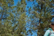 G3369530