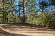 T3369736