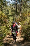 K3352985