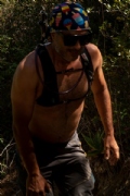 N3353902