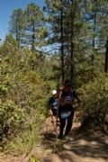 S3353690