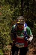 W3353458
