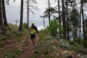 Z3344518