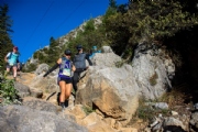 M3370006