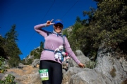 V3370833