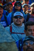 D3345811