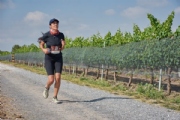 T3316284