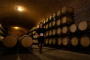 G3308752