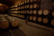 Z3308993